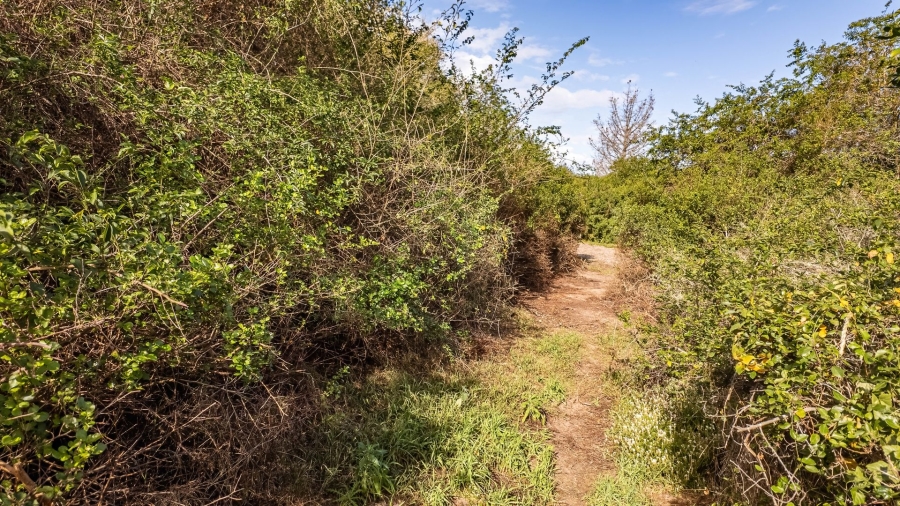Commercial Property for Sale in Rondevlei Western Cape
